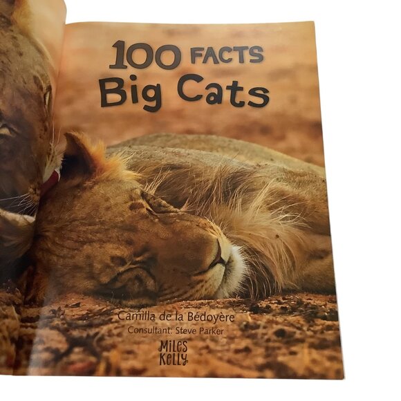 100 Facts Big Cats Book By Miles Kelly Illustrated Paperback 2022 Edition - Picture 6 of 6